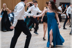 20260203-DSC03353