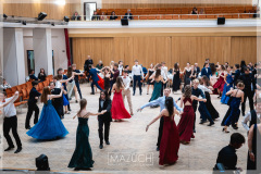 20260204-DSC08497